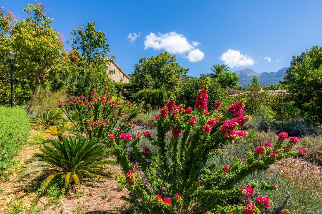 סולר Finca Ca'S Curial - Agroturismo - Adults Only מראה חיצוני תמונה