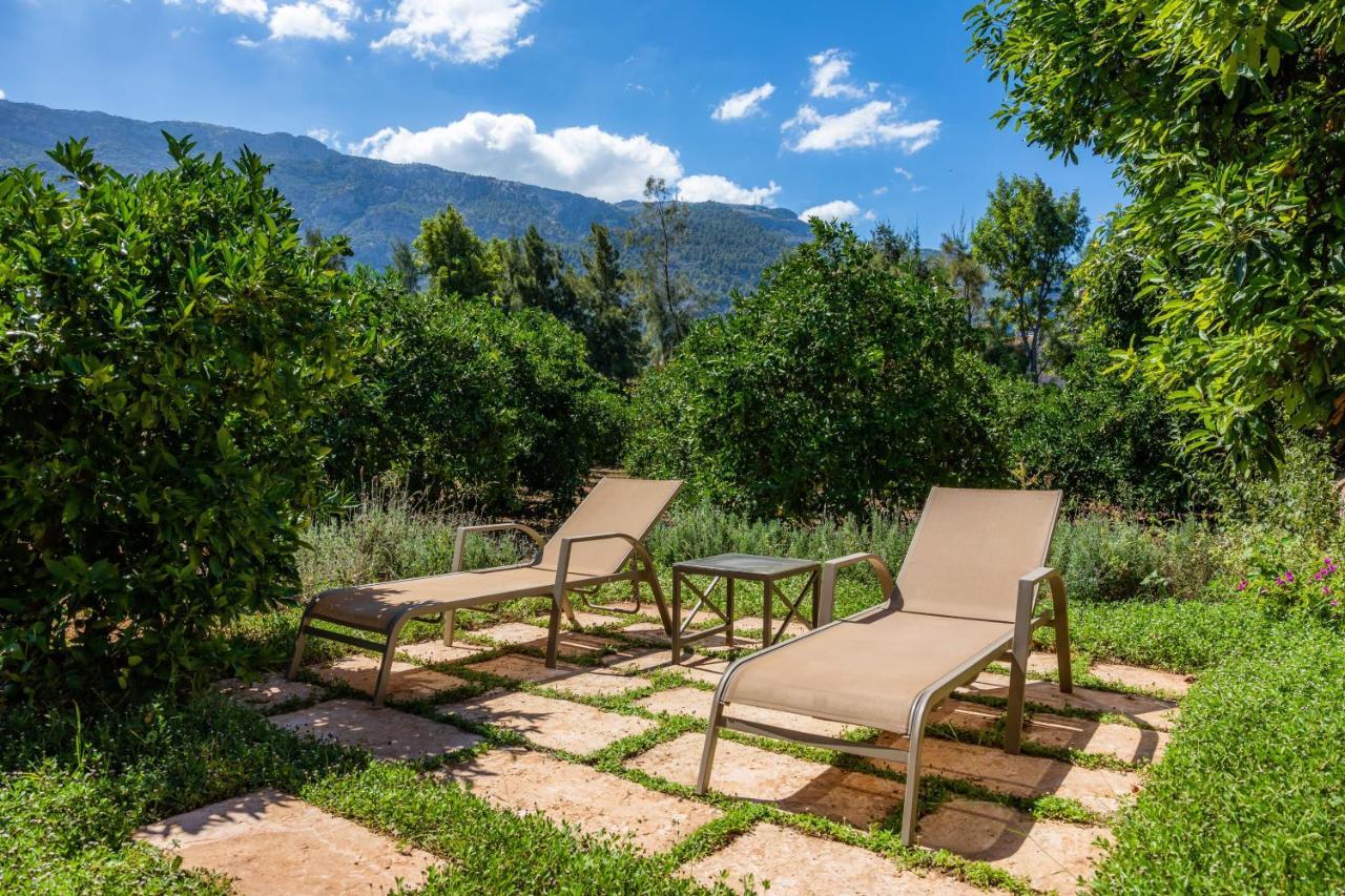 סולר Finca Ca'S Curial - Agroturismo - Adults Only מראה חיצוני תמונה