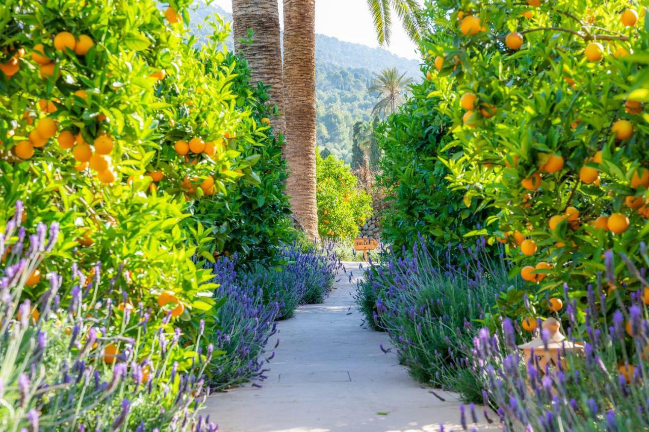 סולר Finca Ca'S Curial - Agroturismo - Adults Only מראה חיצוני תמונה