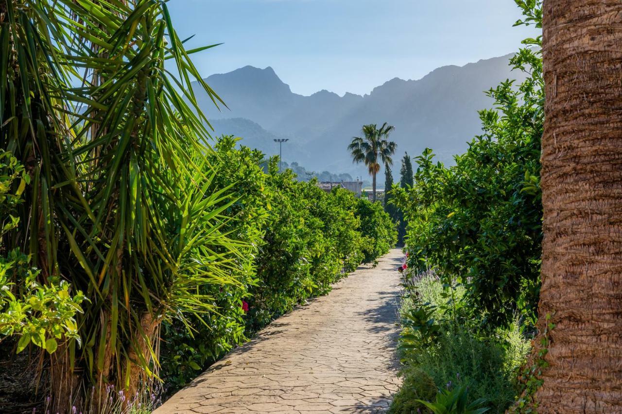 סולר Finca Ca'S Curial - Agroturismo - Adults Only מראה חיצוני תמונה