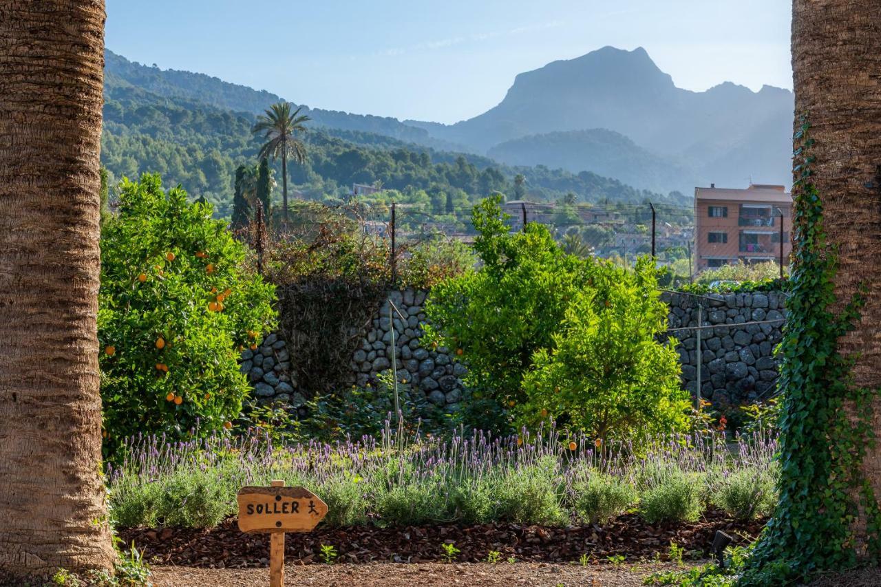 סולר Finca Ca'S Curial - Agroturismo - Adults Only מראה חיצוני תמונה