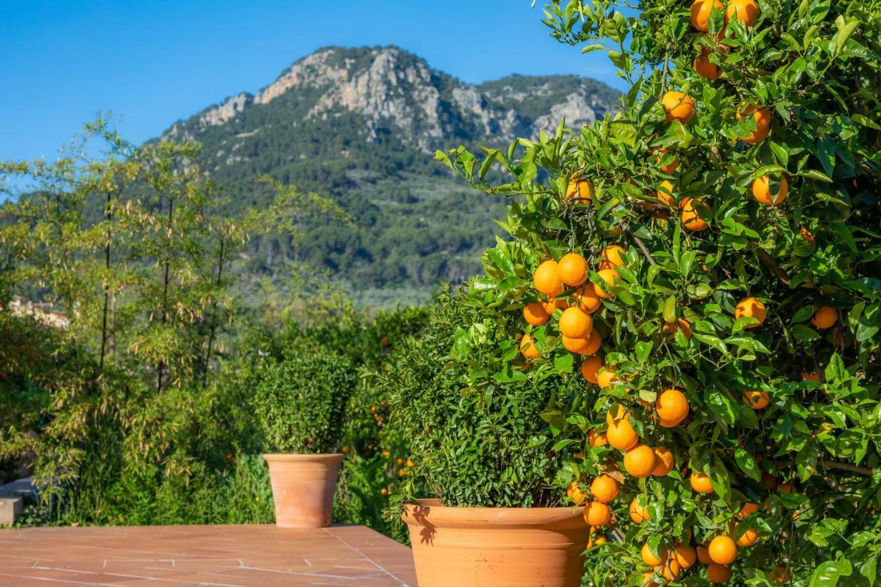 סולר Finca Ca'S Curial - Agroturismo - Adults Only מראה חיצוני תמונה