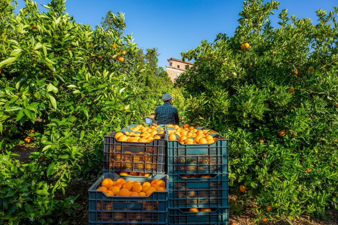 סולר Finca Ca'S Curial - Agroturismo - Adults Only מראה חיצוני תמונה